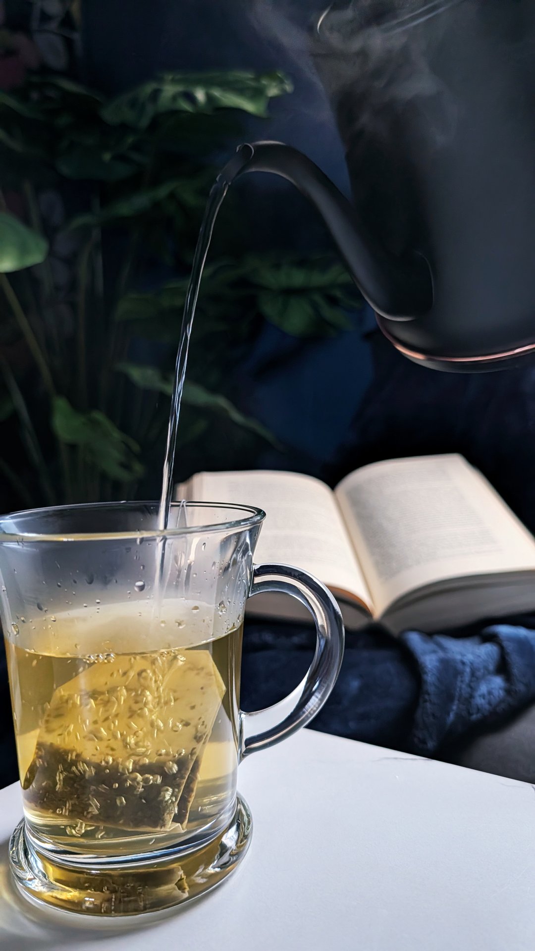 Black gooseneck kettle pouring hot water into a clear glass mug with a tea bag, monstera plant in soft focus behind